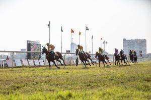Trusted Best Odds for Horse Racing: Pro Tips to Win in India (2027)